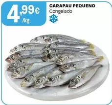 Carapau Pequeno