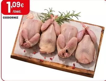 Codorniz