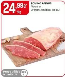 Bovino Angus