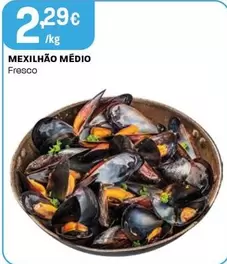 Mexilhão Medio