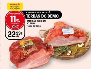 Terras Do Demo - Salpicao Regional Do Paiva