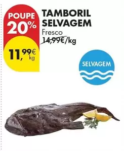 Tamboril Selvagem