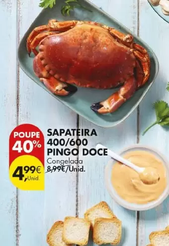 pingo doce - Sapateira 400/600