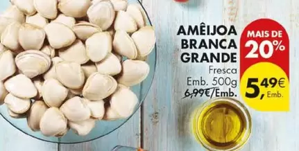 Ameijoa Branca Grande