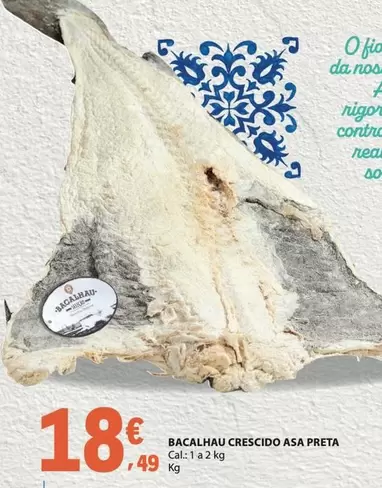 A+ - Bacalhau Crescido Asa Preta
