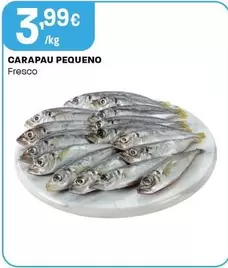 Carapau Pequeno