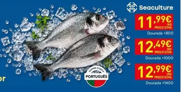 Aquacultura - Dourada + 1400