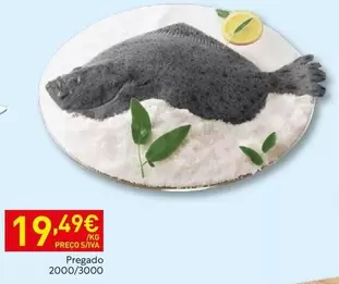 Pregado 2000/3000