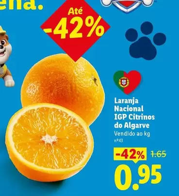 Nacional - Laranja  Igp Citrinos Do Algarve