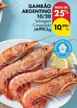 Gambão Argentino 10/20