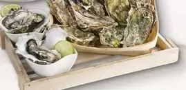 Ostra