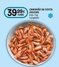 Camarão Da Costa 200/280