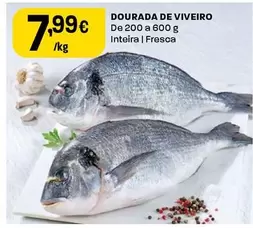 Dourada De Viveiro