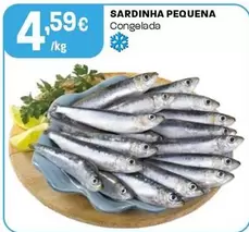 Sardinha Pequena
