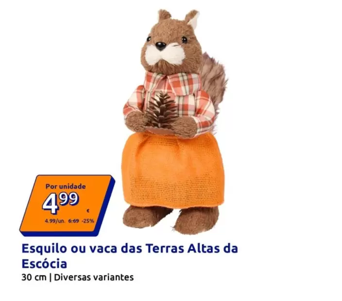 Esquilo Ou Vaca Das Terras Altas Da Escocia