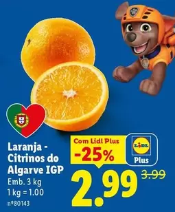 Laranjada - Citrinos Do Algarve IGP