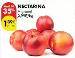 A+ - Nectarina