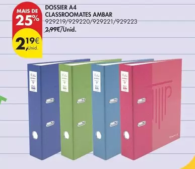 Ambar - Dossier A4