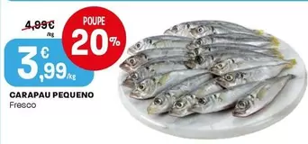 Carapau Pequeno