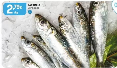 Sardinha