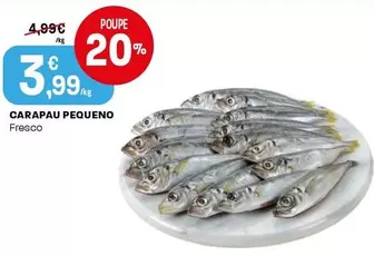 Carapau Pequeno