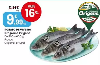 Programa Origens - Robalo De Viveiro