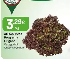 Programa Origens - Alface Roxa