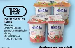 Mimosa - Iogurte De Fruta Batida