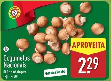 Cogumelos Nacionais