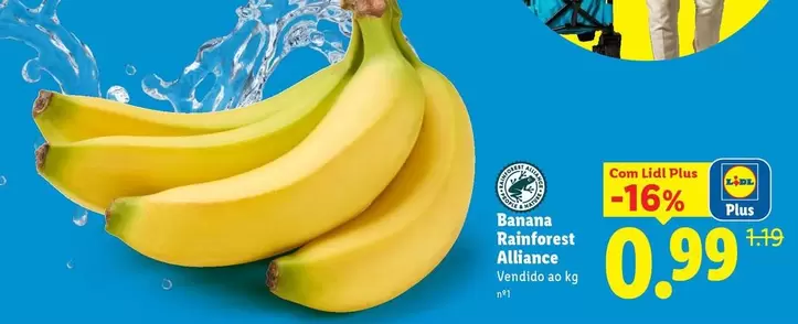 .Com - Banana Rainbrest