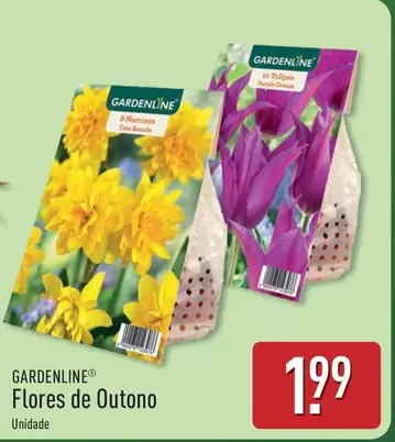 Gardenline - Flores De Outono