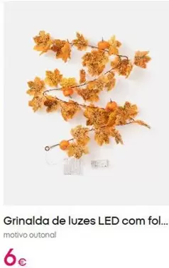 .Com - Grinalda De Luzes Led Com Fol
