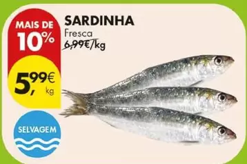 Sardinha