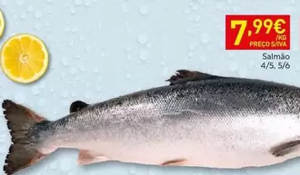 Salmão