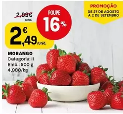 Morango