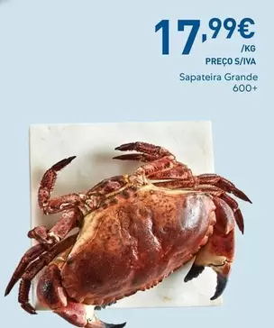 Sapateira Grande