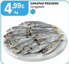 Carapau Pequeno