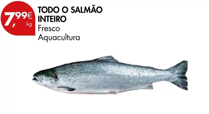 Aquacultura - Todo O Salmão