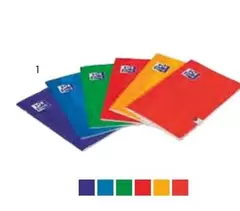 Oxford - Caderno Agrafado Quadrado A4 Capa Alas