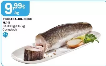 Pescada-do-chile No 3