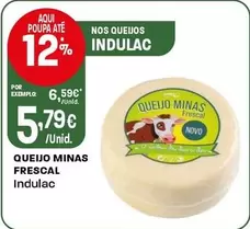 Indulac - Queijo Minas Frescal