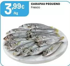 Carapau Pequeno