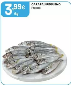 Carapau Pequeno