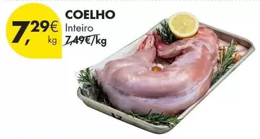Coelho