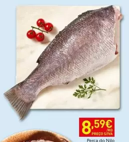 Perca De Nillo