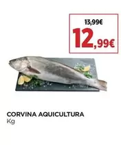 Corvina Aquicultura