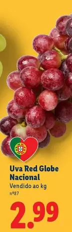 Globe - Uva Red Nacional