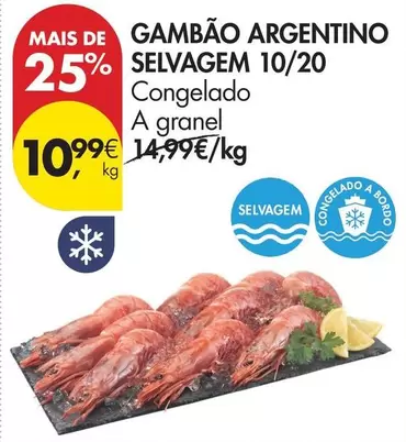 A+ - Gambão Argentino Selvagem 10/20