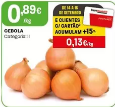 Cebola