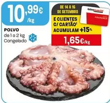 Polvo Congelado